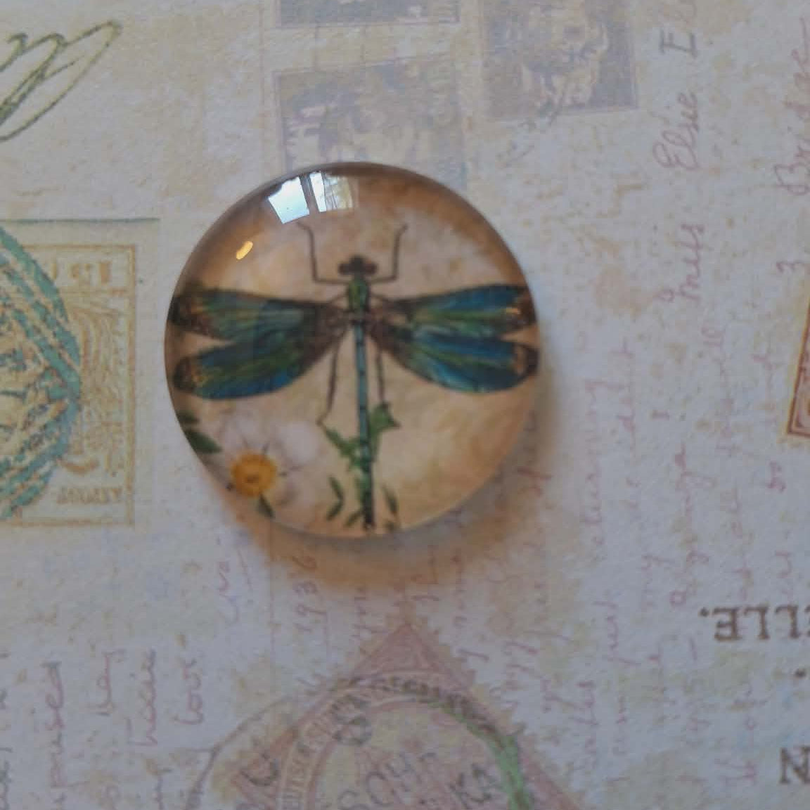 Round decorative item with a dragonfly design on a textured background with vintage stamps and text.