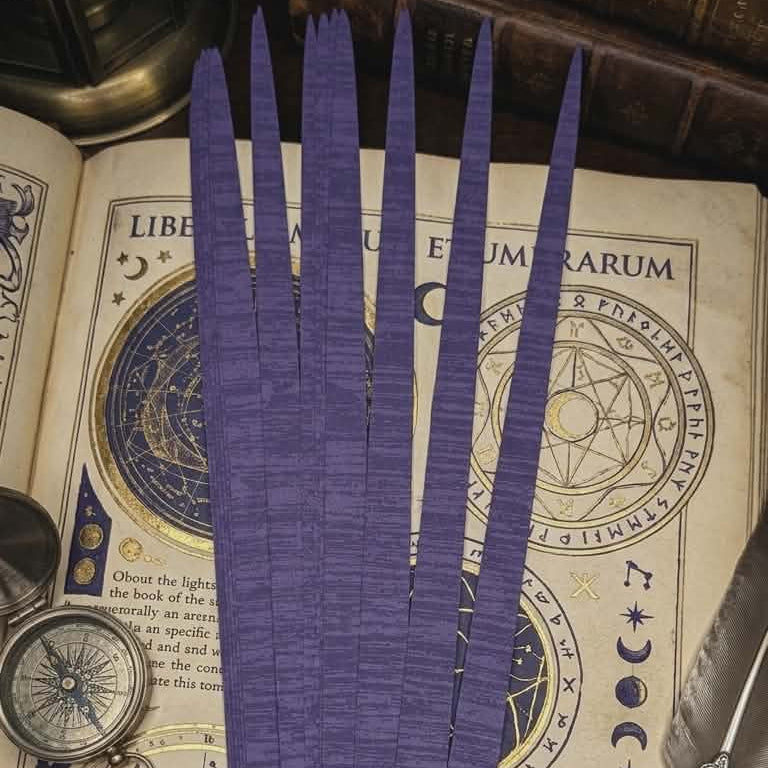 Purple feathers on an open book with astrological symbols and a compass.
